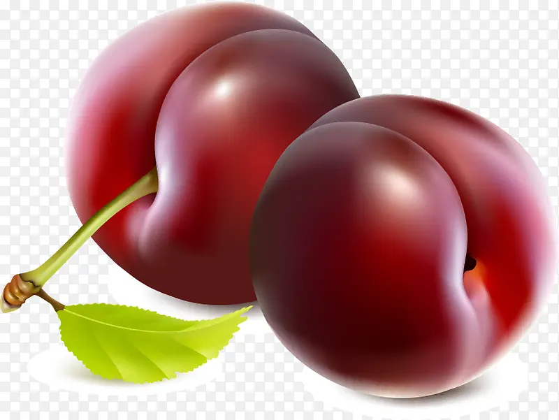 ����pngʸ���ز�-������