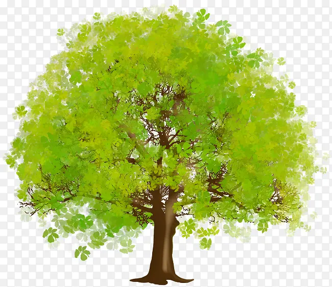 ��ɫ��ɡ״����-������