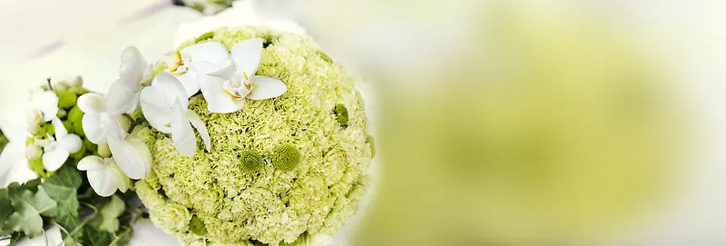 ���䱳��-������