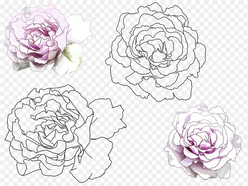 �ֻ濵��ܰ-������