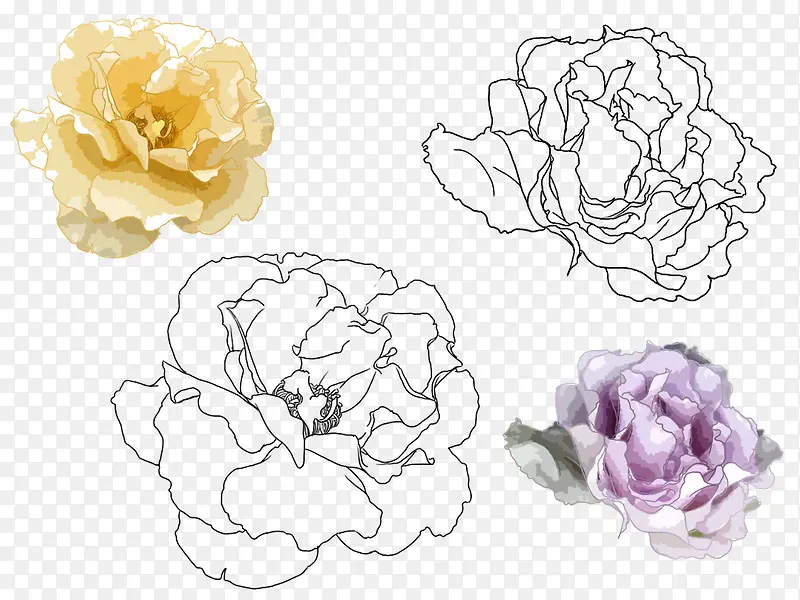 �ֻ濵��ܰ-������