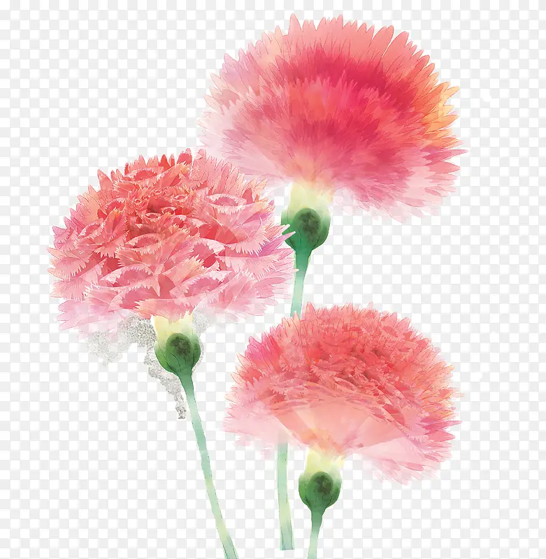 �ֻ濵��ܰ-������