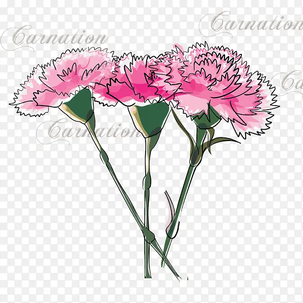 �ֻ濵��ܰ-������