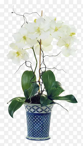 ��ɫ�廨װ��-������