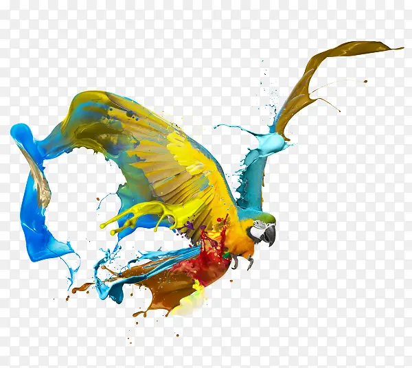 ������ī����-������