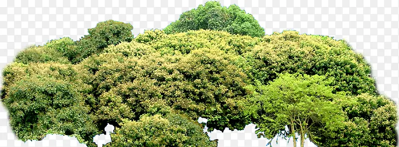 ��-������