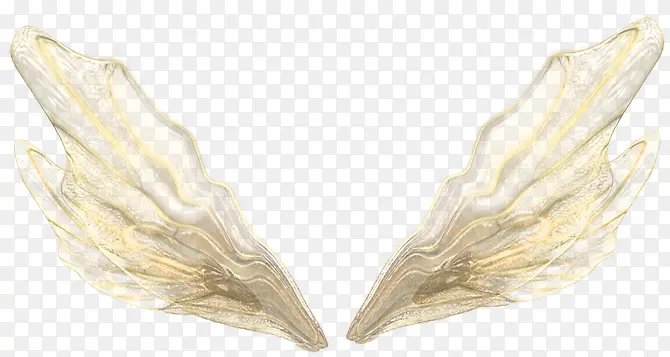 ���ѵĳ��-������