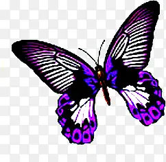 ��Ӱ���պ���Ч��-������