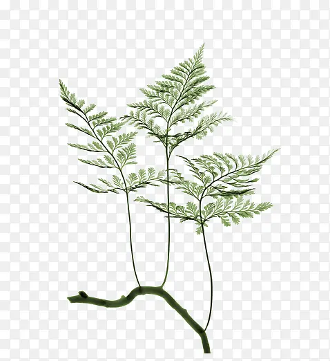 �ý�ާ��֦װ��-������