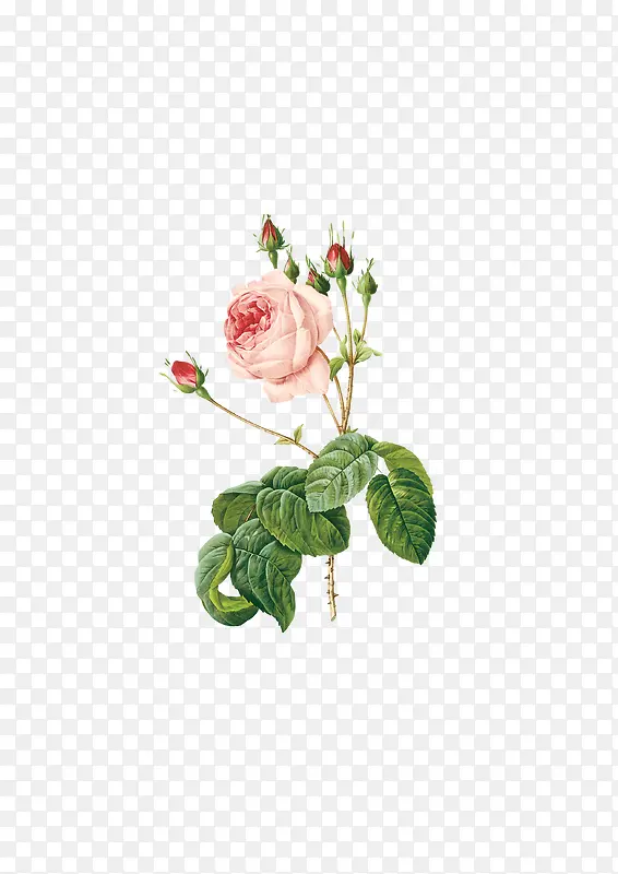 �ֻ��زĻ����ʻ�õ��-������