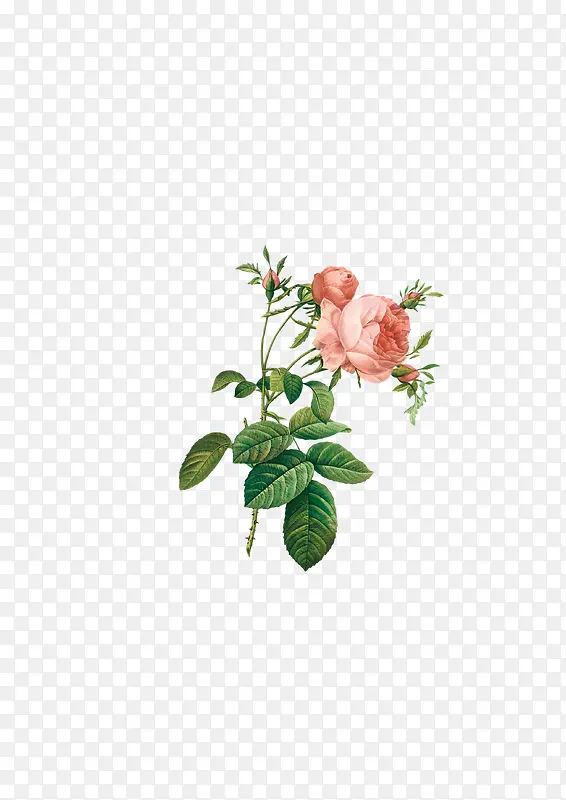 �ֻ滨���ʻ��ز�-������