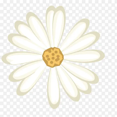 ���տ�ͨ�ֻ�ʸ��-������