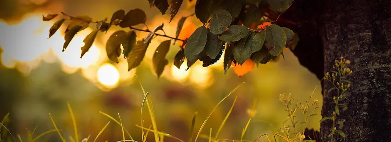 ����-������