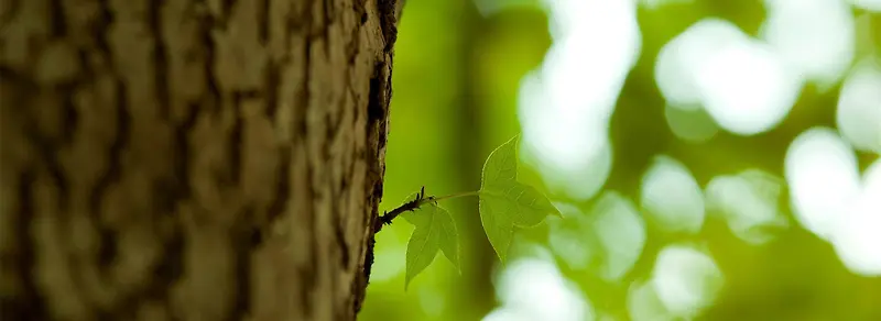 ����-������