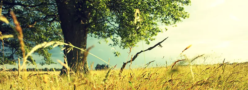 ����-������