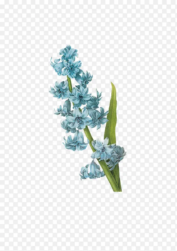 �ֻ�廭�ʻ�-������