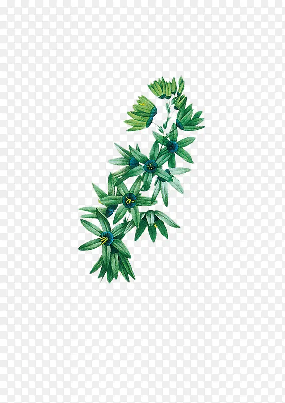 ��ɫСҰ���ֻ�-������