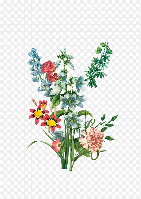 Ⱥ���ֻ��ʻ����-������