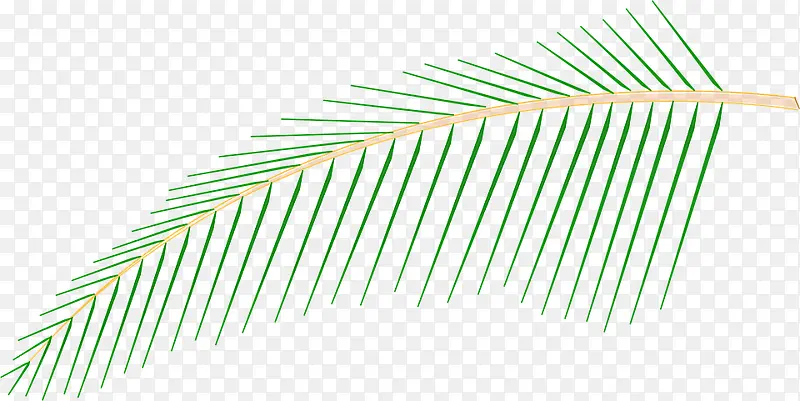 ���ƴ���һ֦��֦��Ҷ-������