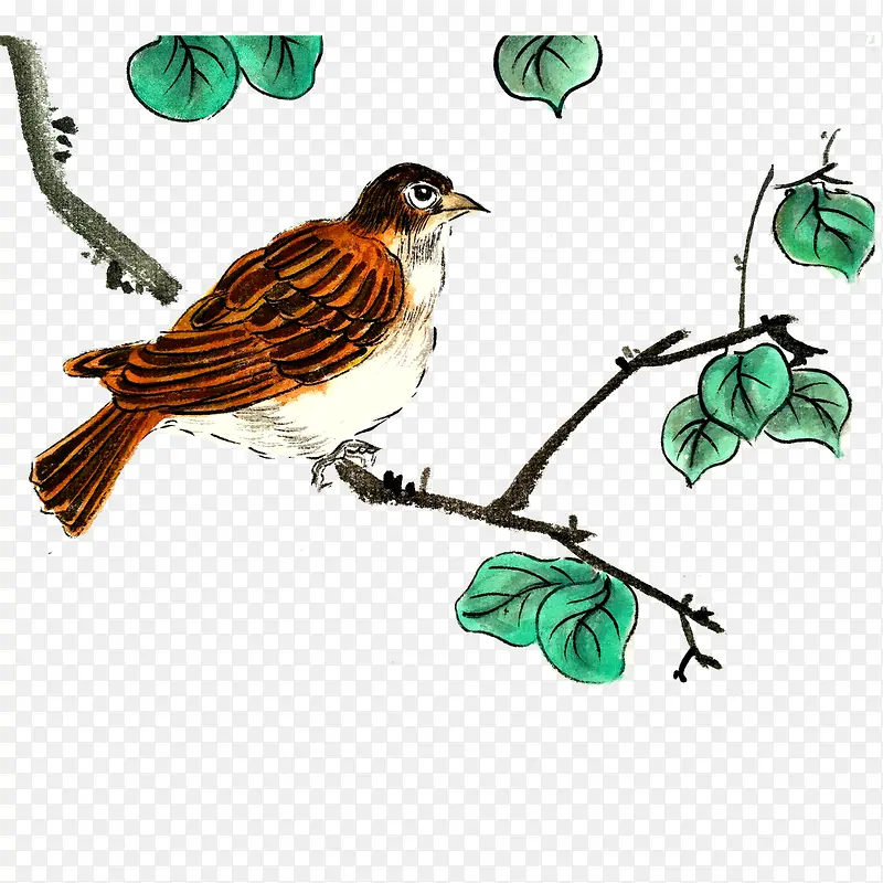 �������ʻ�������֦PNG-������