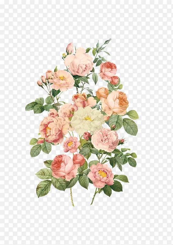 �ֻ��ʻ�ˮ�ʻ���-������