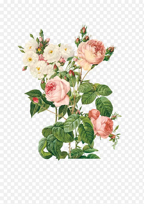 �ֻ滨���ʻ����ֻ���-������