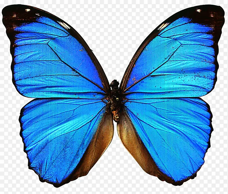 ������ë���-������