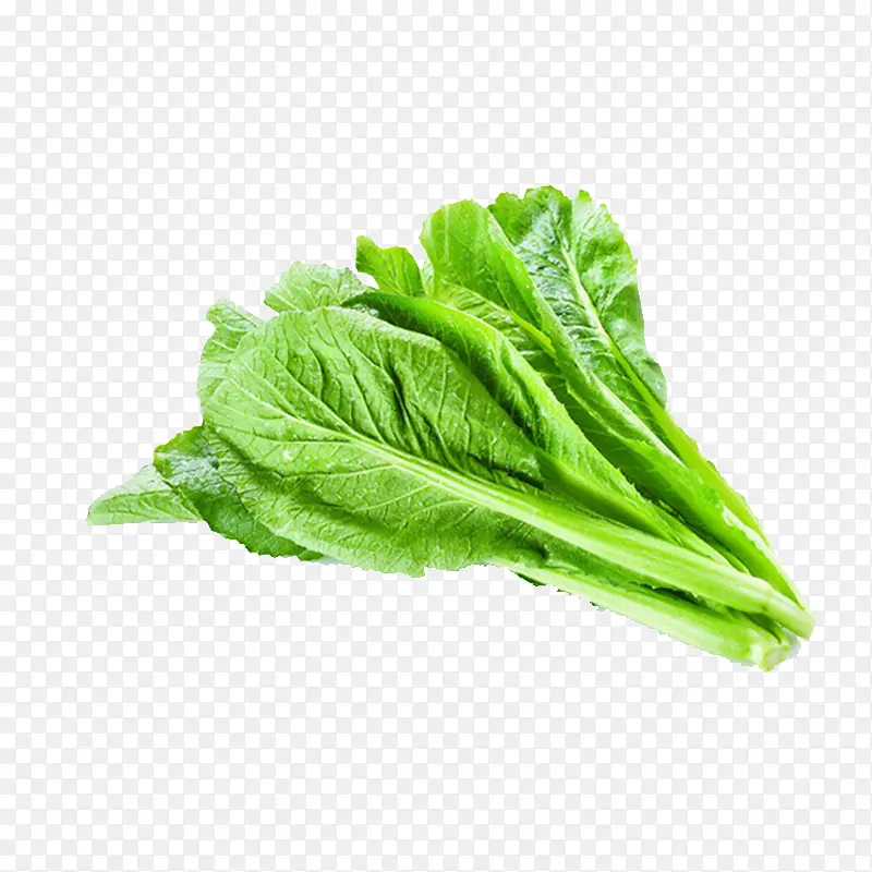 ������������ɫ�߲�-������