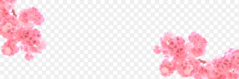 ����ӣ����֦װ��Ԫ��-������