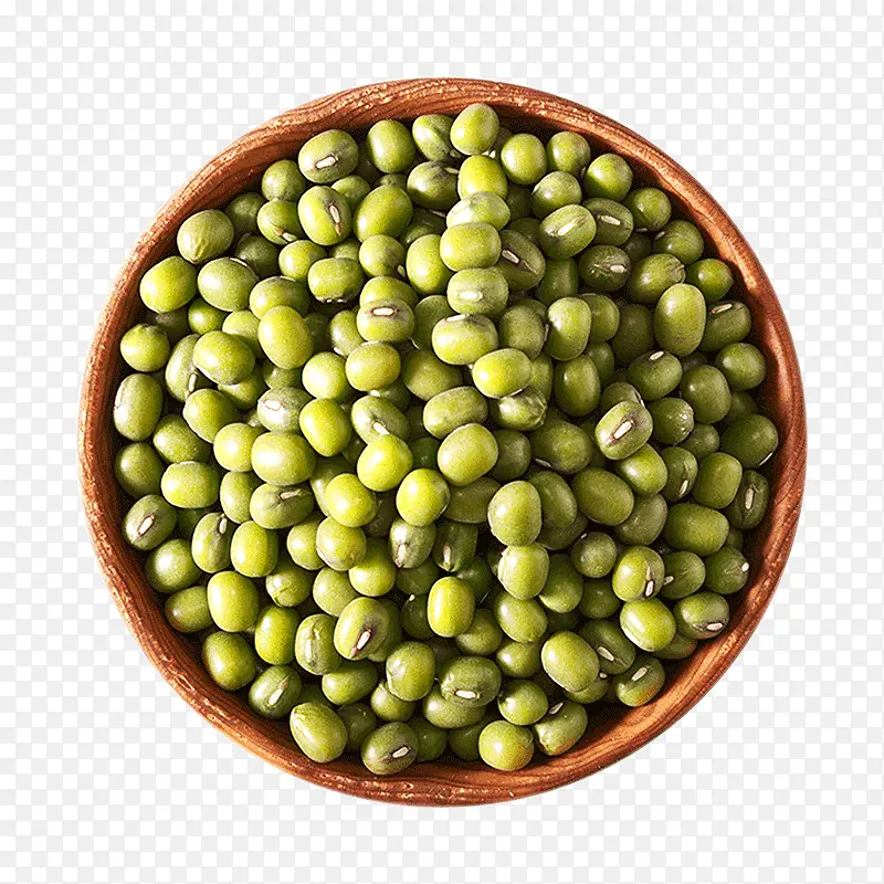 �̶� ���� ʳƷ ����-������