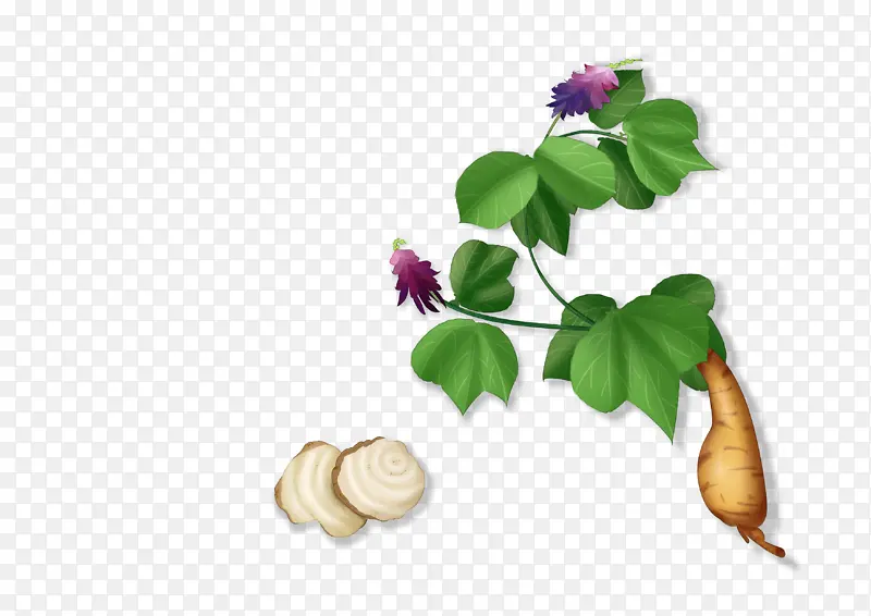 ����廭���-������