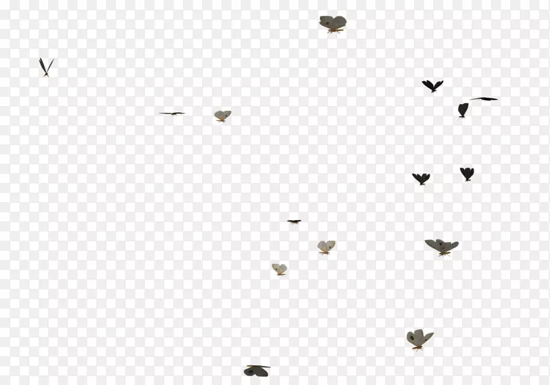 �ߺڰ׽ǵ�-����Ⱥ-������