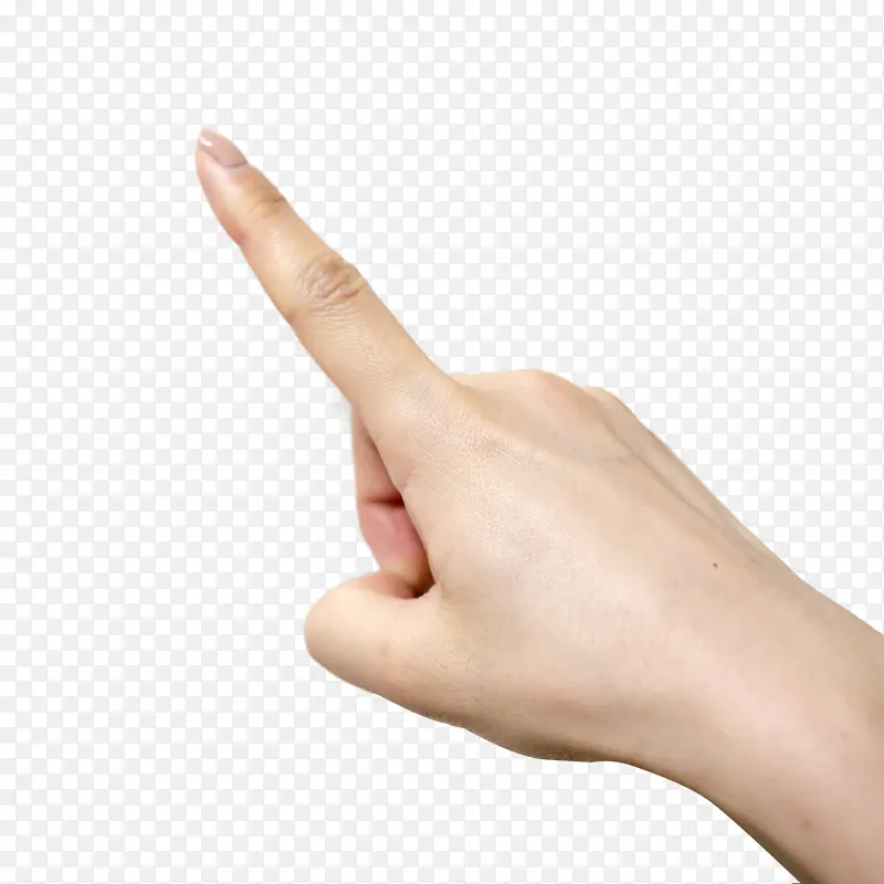 ��ָʳָ�������-������