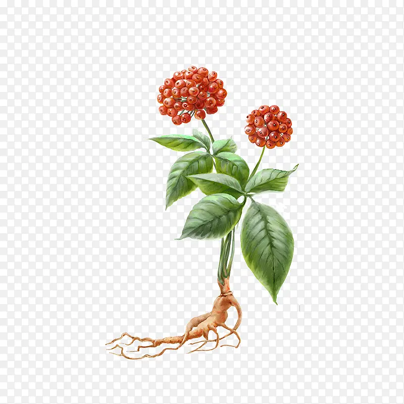 ����  ��  �˲�  �̲�-������