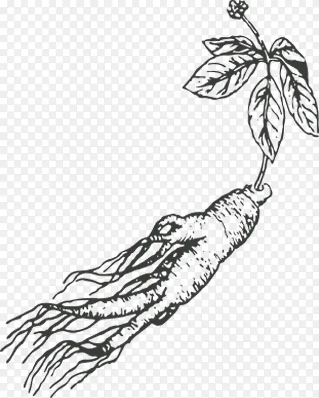 �˲β廭ͼ��-������