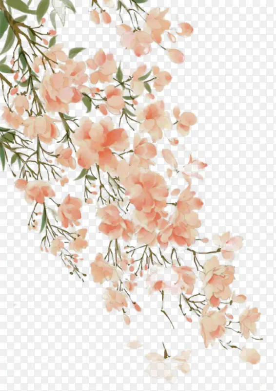 �ŷ�ʻ�Ļ�֦-������