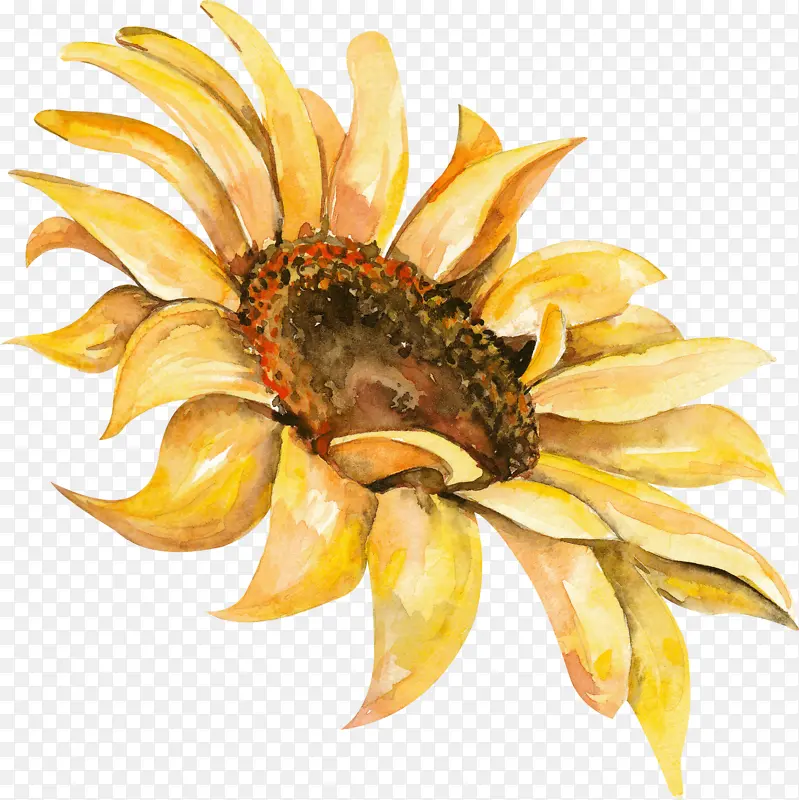 ˮ�����տ���������-������