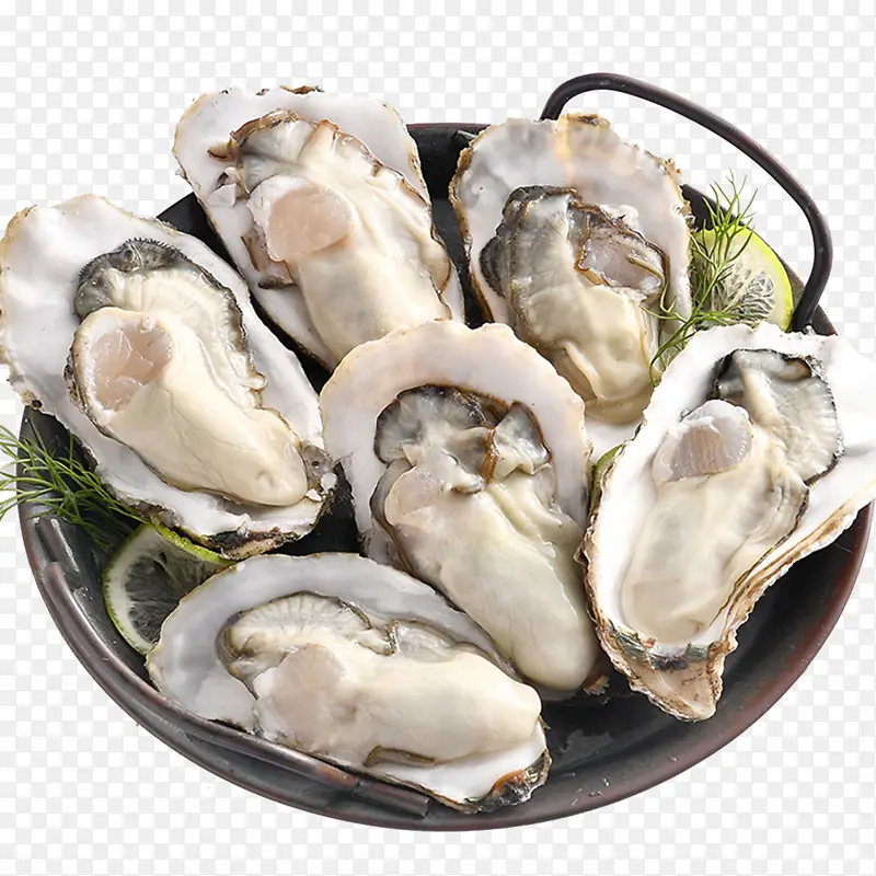 Ұ����������-������