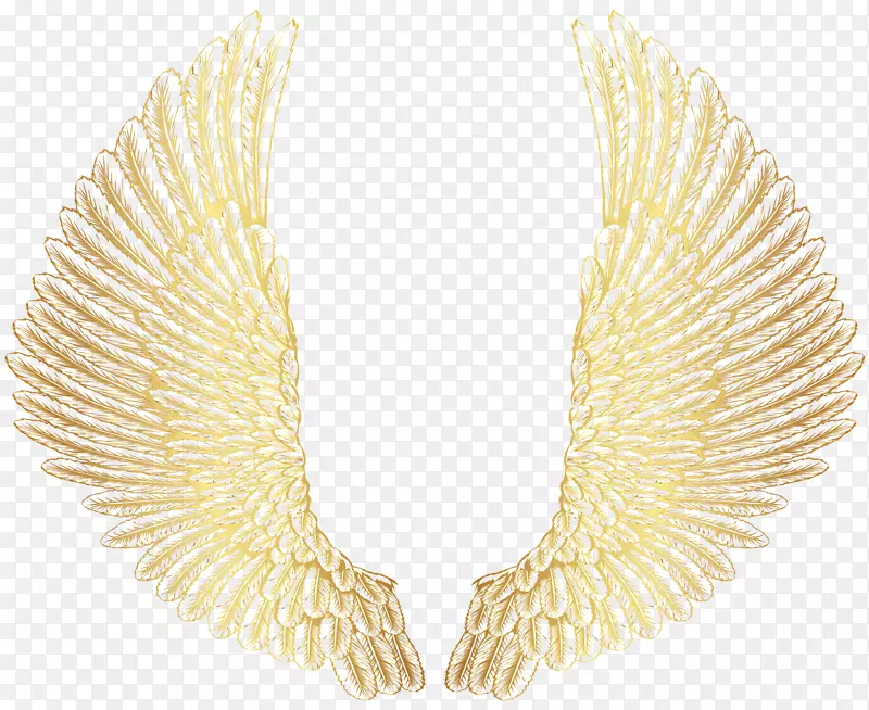 �滭������-��ʹ���-������