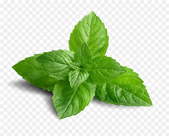 �߲� ���� Ҷ��-������