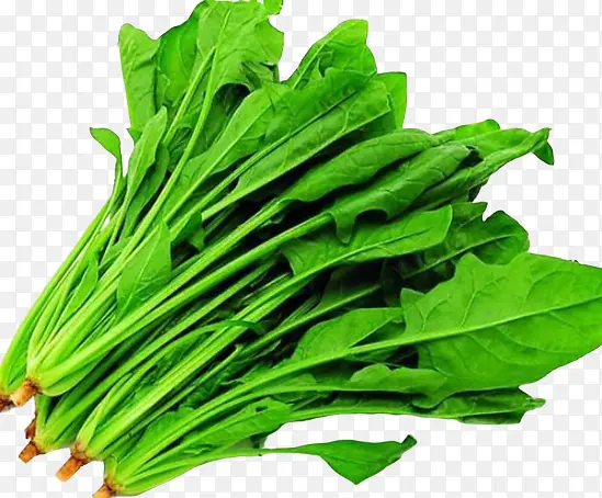 �����͵��߲�-������