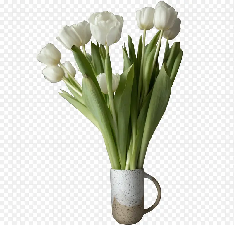 ������װ�Ű�ɫ������-������