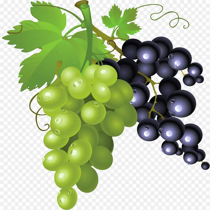 �ֻ���������ʸ���ز�ͼ-������