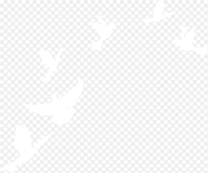 ��ɫ��ƽ��-������