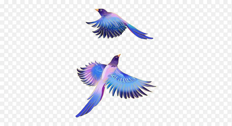 ��Ϧ���˽ڰ����ز�-������