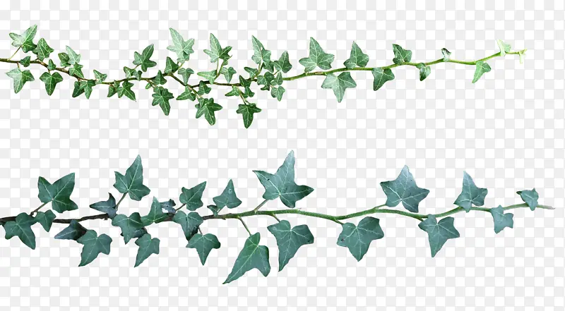 ������֦����-������