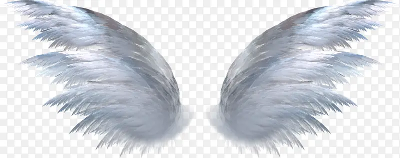 �ϵ���ʹ�ĳ��-������