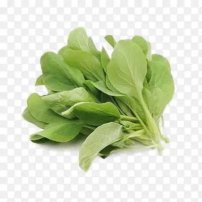 ��ë�� ��� �߲�װ��Ԫ��-������