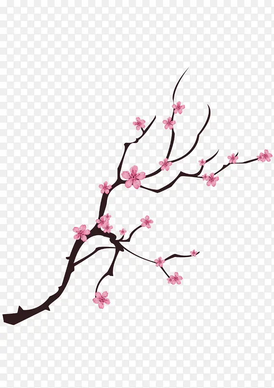 �����һ�Ԫ��-������