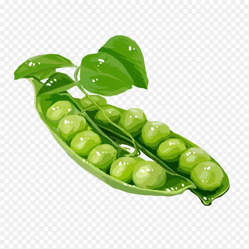 �ֻ��߲��㶹�廭-������